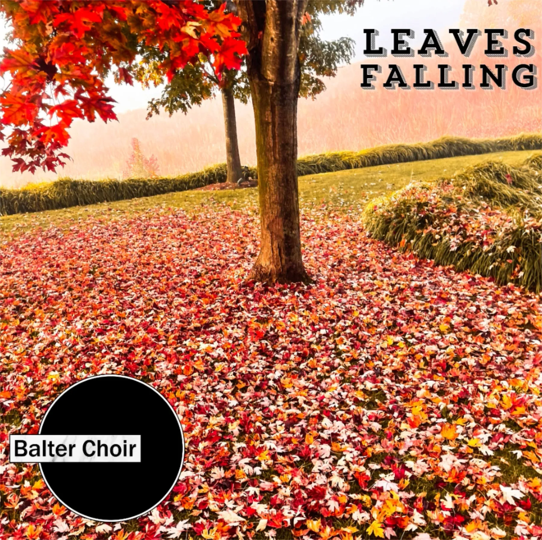 Balter Choir Encapsulate Autumn in “Leaves Falling” featured image