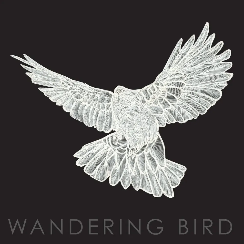 Eliza Tebo, Wandering Bird Release New Year Music featured image